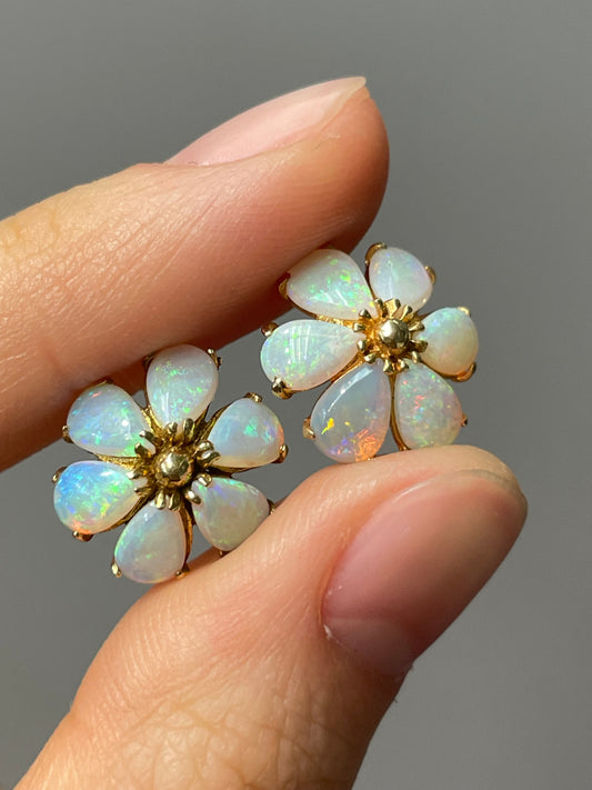 14K Yellow Gold Opal Cluster Earring