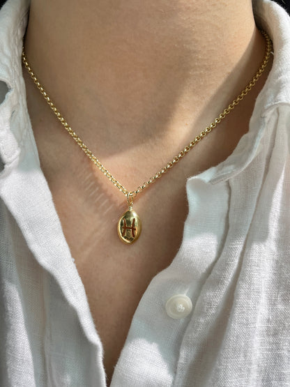 18K Gold Pisces Horoscope Charm
