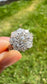 Antique 14K Gold Old Mine Cut Diamond Cluster Ring SZ 6.5